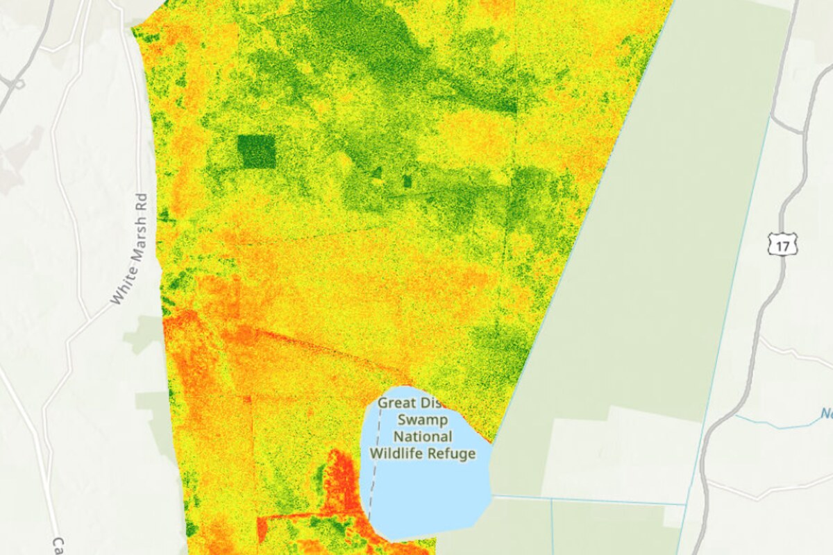Seasonal NDVI raster map